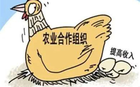 鄭州農(nóng)民專(zhuān)業(yè)合作社注冊(cè)流程（完整版）