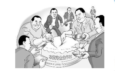 鄭州農(nóng)民專(zhuān)業(yè)合作社注冊(cè)