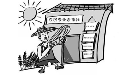 農(nóng)民專業(yè)合作社屬于企業(yè)法人嗎？農(nóng)民專業(yè)合作社的概念
