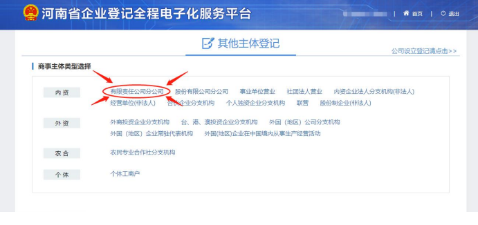 河南省營業(yè)執(zhí)照網(wǎng)上申報(bào)選擇有限責(zé)任分公司注冊(cè)
