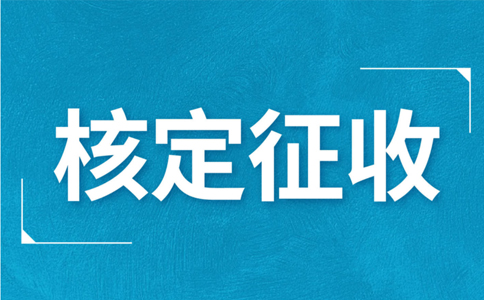 江西大額個體戶核定征收標(biāo)準(zhǔn)，2024年最新政策